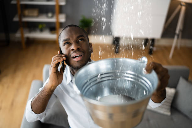 Best Professional water damage repair  in Chipley, FL