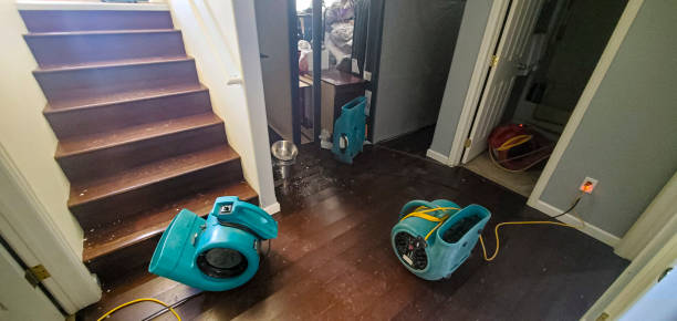 Best Local water damage restoration  in Chipley, FL
