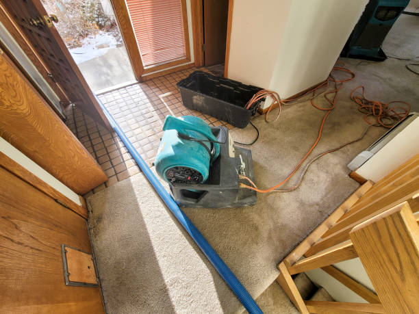 Trusted Chipley, FL Water damage restoration Experts