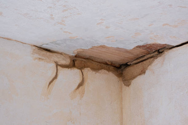 Best Emergency water damage restoration  in Chipley, FL