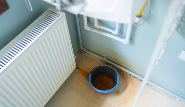Best Sewage cleanup and water damage restoration  in Chipley, FL