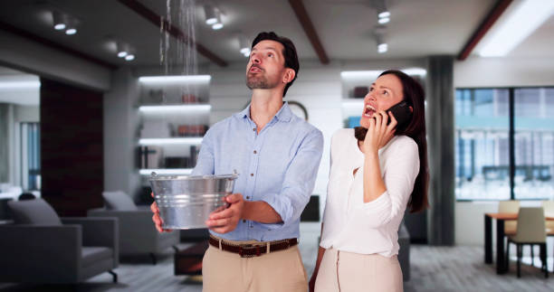 Best Water damage restoration process  in Chipley, FL