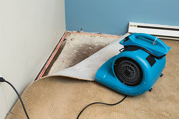 Best Basement water damage restoration  in Chipley, FL